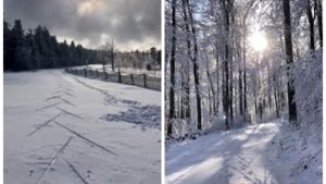 Séance de Plein Air du 14/12/19 @ Barr | Barr | Grand Est | France