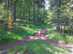 Séance de Plein Air du 05/10/19 @ Barr | Barr | Grand Est | France