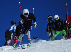 Robin Boileau